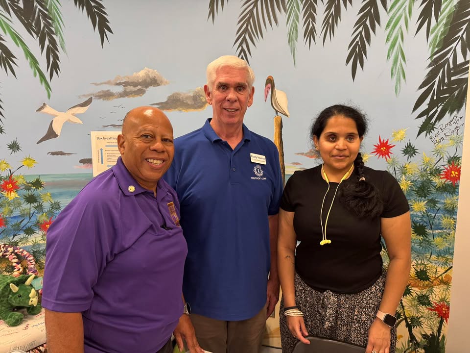 Bridgehaven Mental Health Services